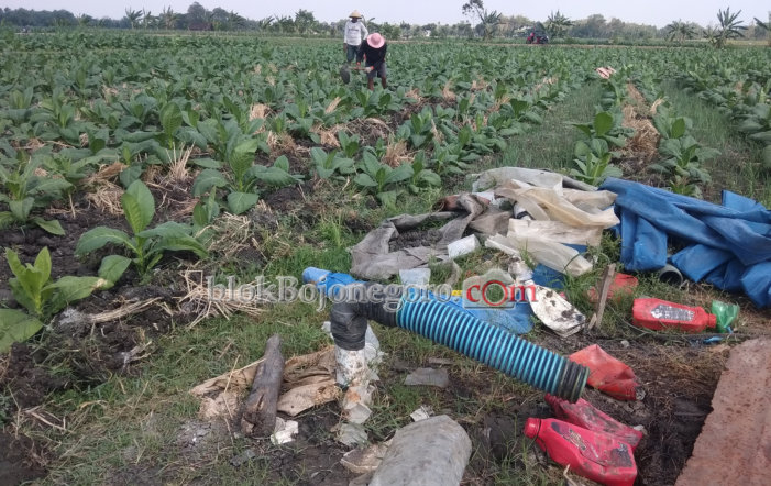 Kemarau, Petani Mlinjeng Masih Bisa Manfaatkan AIr Sumur Bor